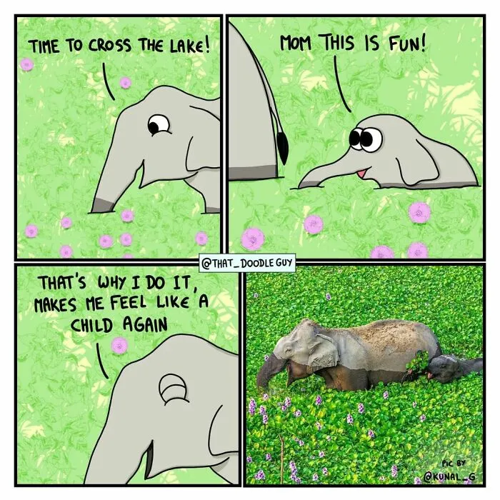 50 Of The Funniest Animal Comics Shared By Our Community