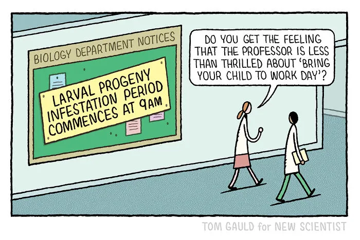 40 Chucklesome Comics By Tom Gauld That Might Take Some Brain Power To Fully Understand (New Pics)