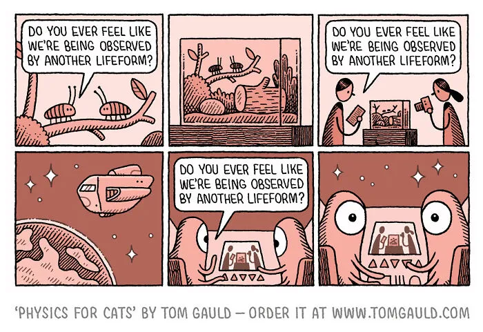 40 Chucklesome Comics By Tom Gauld That Might Take Some Brain Power To Fully Understand (New Pics)