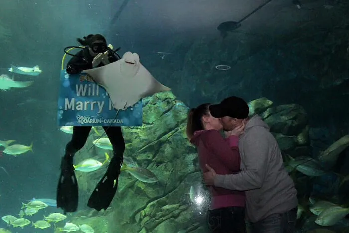Mi novio me propuso matrimonio en el Acuario Ripley de Toronto... Esta raya se coló en todas las fotos.