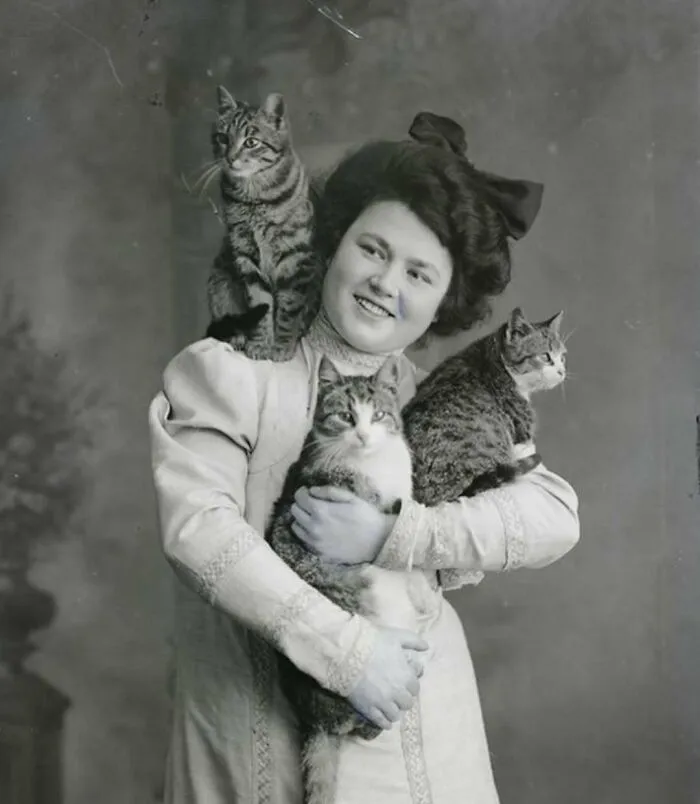 50 Interesting Posts About The Victorian Era