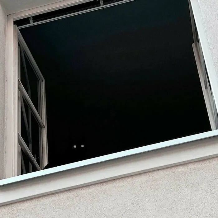 50 Times People Spotted Kitties Sitting At The Window And Just Had To Take A Pic (New Pics)