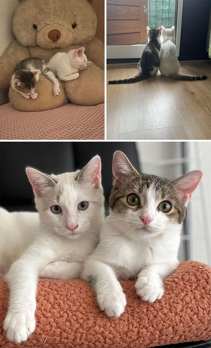 "Two Sisters Growing Up"