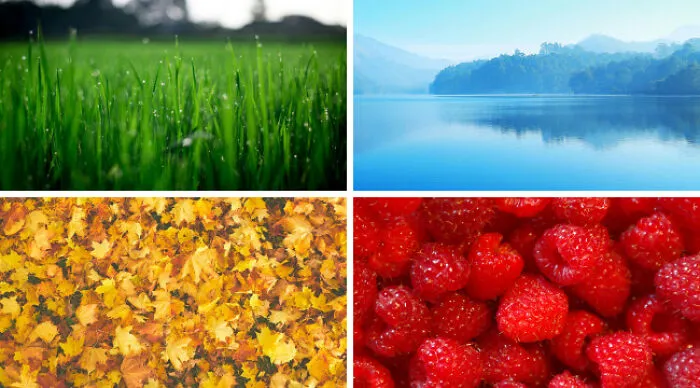 You See One Color Clearly, But Can’t Differentiate Between The Rest: