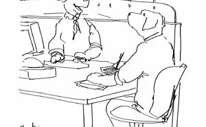 50 Clever Jokes Illustrated By Charlie Hankin (New Pics)