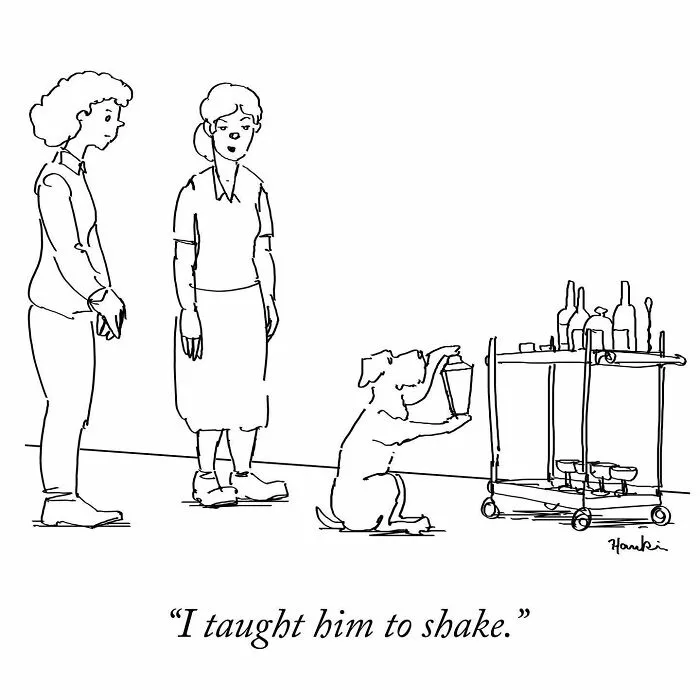 50 Clever Jokes Illustrated By Charlie Hankin (New Pics)