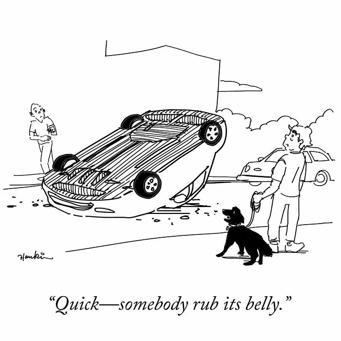 50 Clever Jokes Illustrated By Charlie Hankin (New Pics)