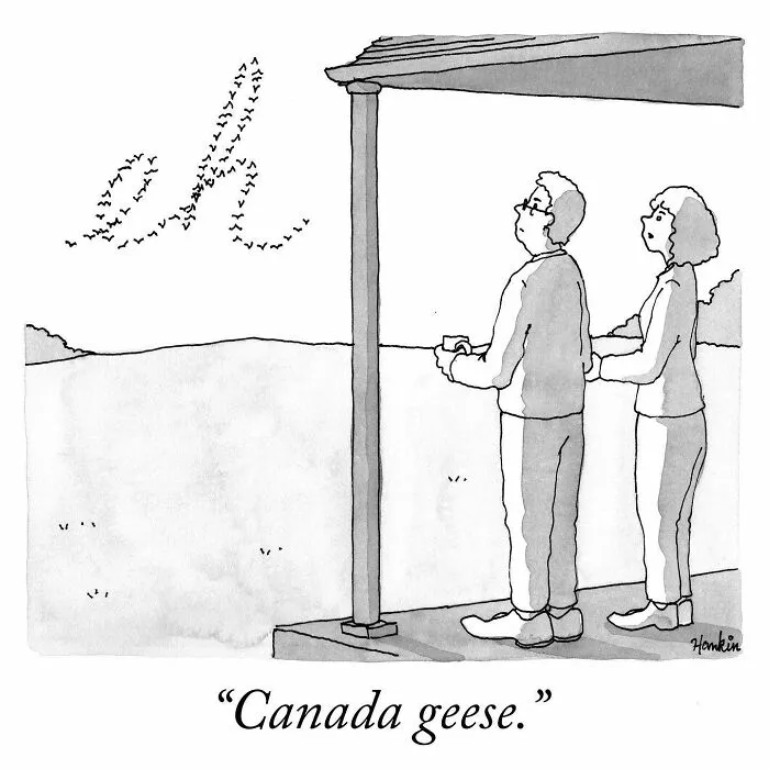 50 Clever Jokes Illustrated By Charlie Hankin (New Pics)