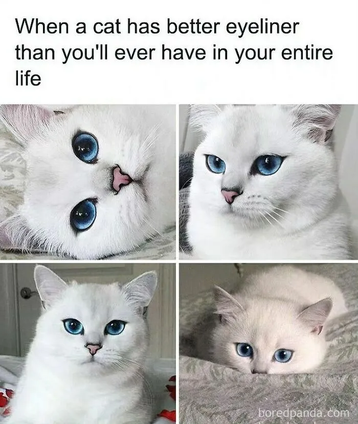 50 Memes About Beauty And Fashion To Get You Ready In The Morning