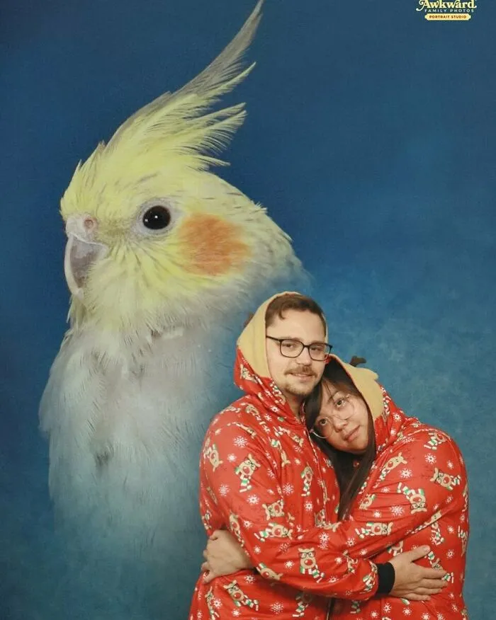 40 Fotos familiares incómodas que se han vuelto inolvidables en internet