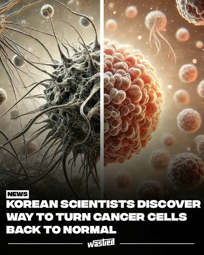60 Interesting Facts That Are Better Than Watching The News