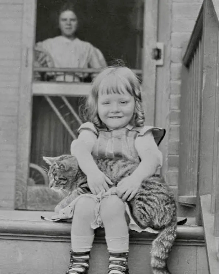 50 Interesting Posts About The Victorian Era