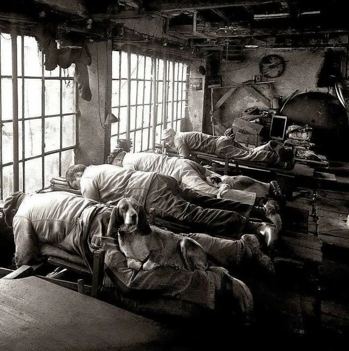50 Interesting Posts About The Victorian Era