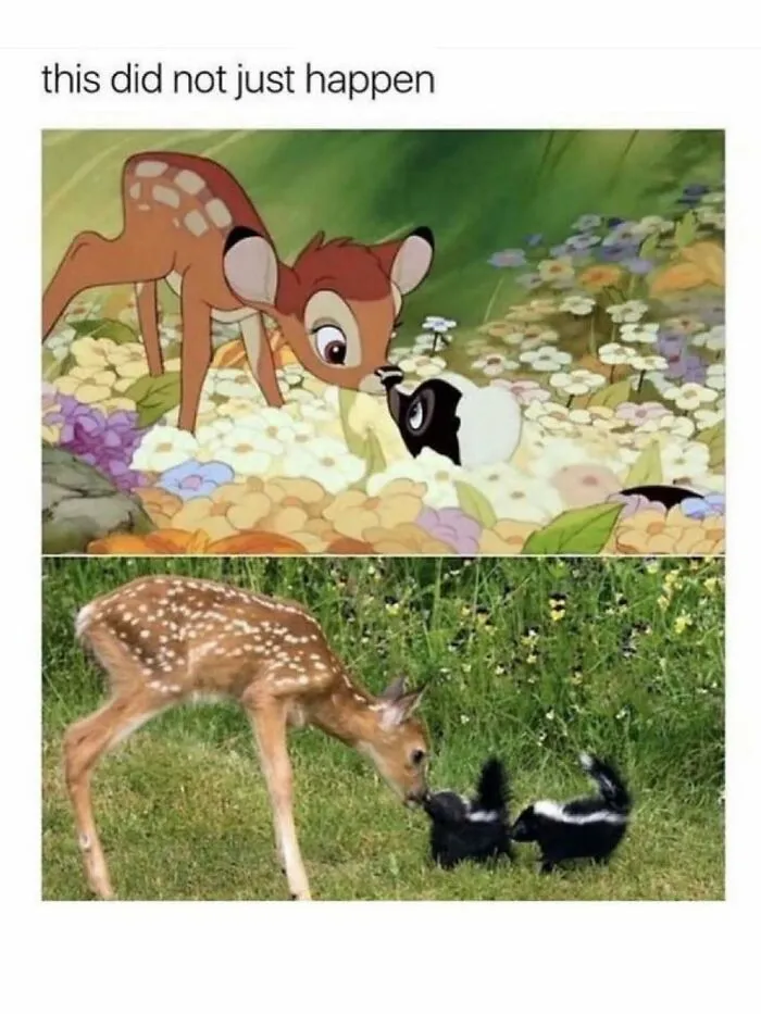 50 Hilariously Wholesome Animal Memes That Help People Forget Problems And Heavy Thoughts (New Pics)
