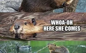 50 Hilariously Wholesome Animal Memes That Help People Forget Problems And Heavy Thoughts (New Pics)