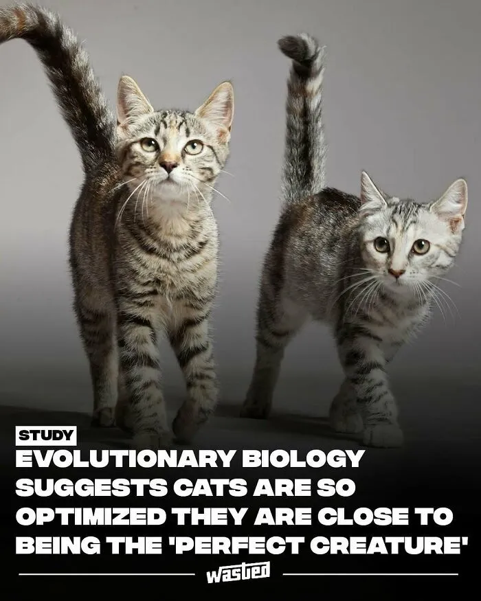 60 Interesting Facts That Are Better Than Watching The News