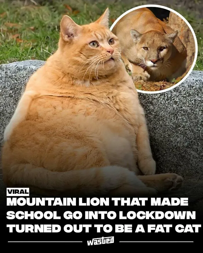60 Interesting Facts That Are Better Than Watching The News