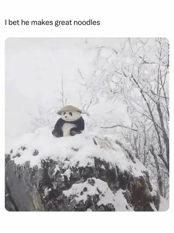 50 Hilariously Wholesome Animal Memes That Help People Forget Problems And Heavy Thoughts (New Pics)