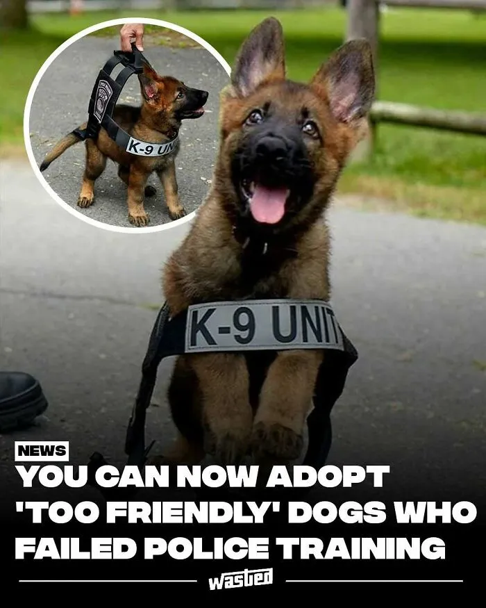 60 Interesting Facts That Are Better Than Watching The News