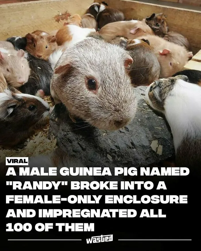 60 Interesting Facts That Are Better Than Watching The News