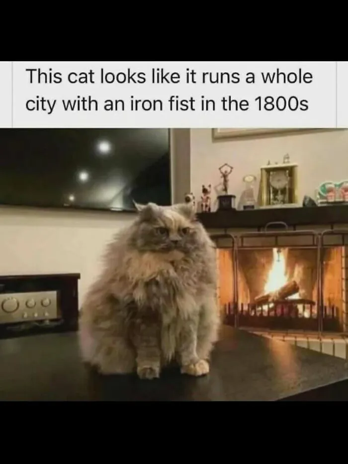 50 Hilariously Wholesome Animal Memes That Help People Forget Problems And Heavy Thoughts (New Pics)