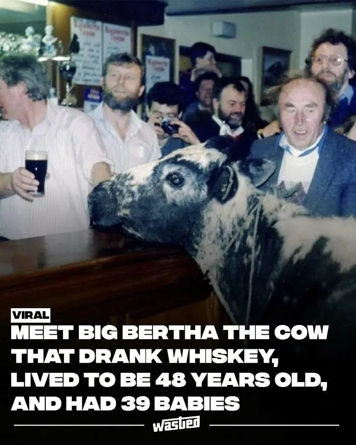 60 Interesting Facts That Are Better Than Watching The News