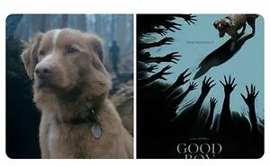 50 Funny And Interesting Movie Memes And Posts That Hit Harder Than Some Of Those Films