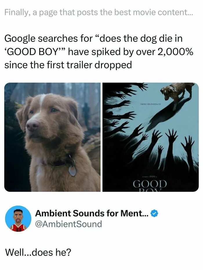 Movie-Memes-Moviezar