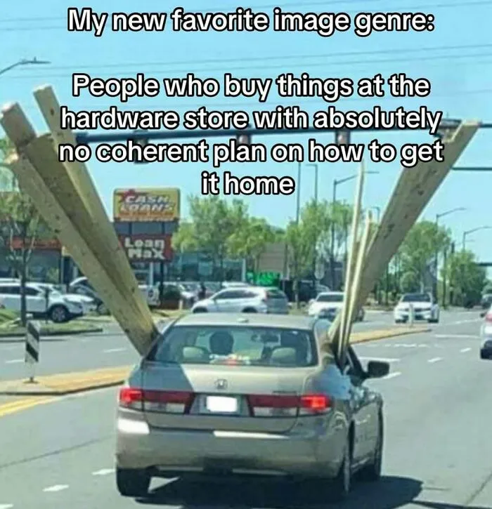 50 Funny Posts To See Instead Of Doing Literally Anything Else