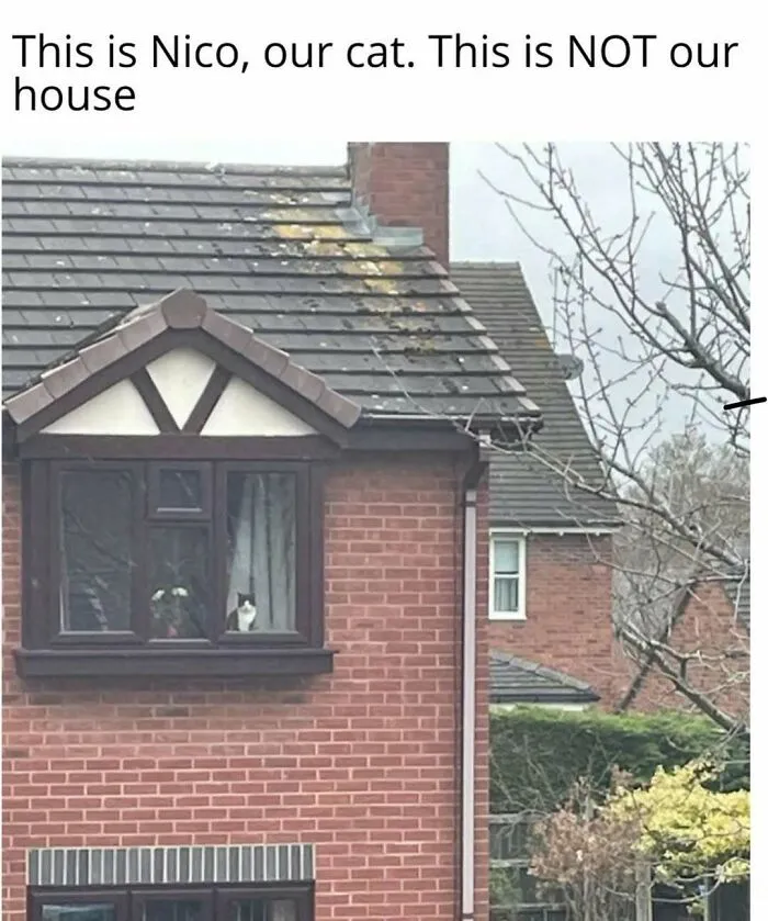 50 Funny Posts To See Instead Of Doing Literally Anything Else