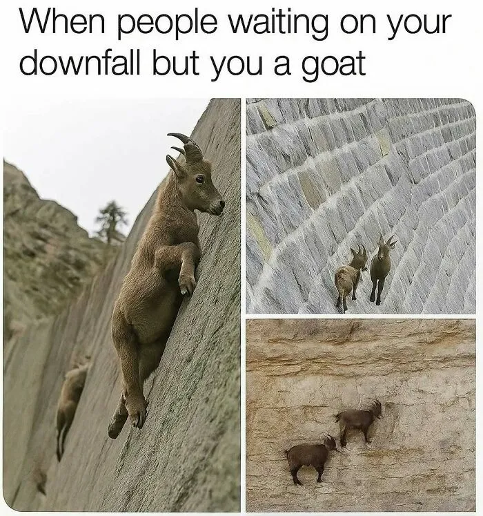 50 Funny Posts To See Instead Of Doing Literally Anything Else