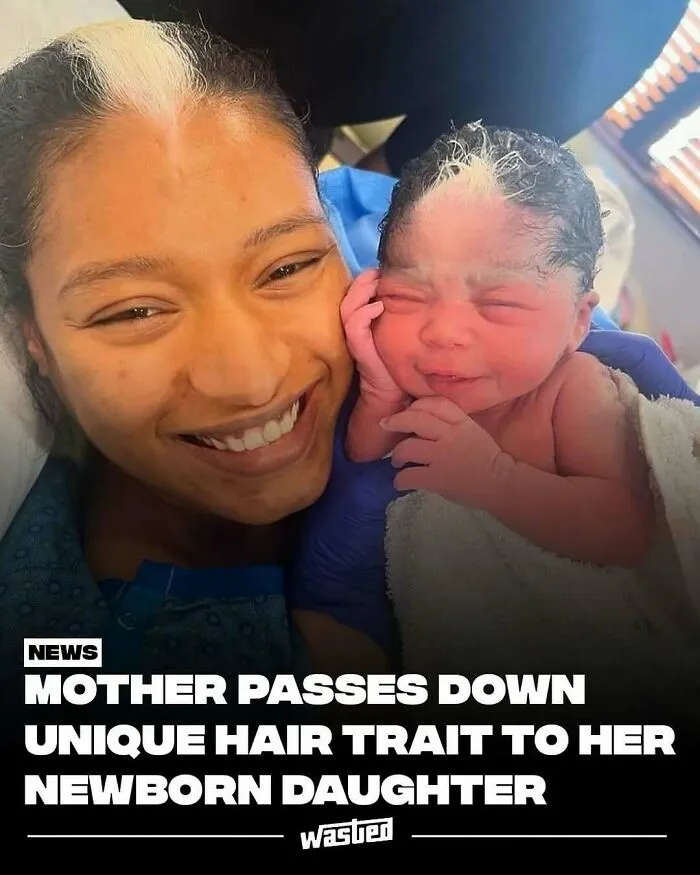 60 Interesting Facts That Are Better Than Watching The News