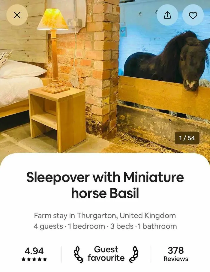 50 Funny Posts To See Instead Of Doing Literally Anything Else