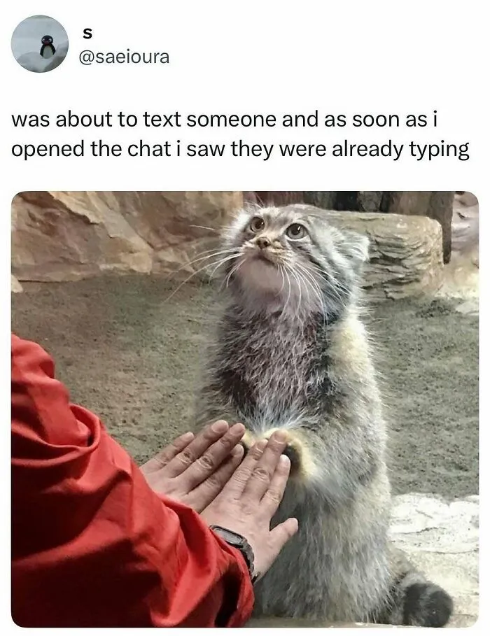 50 Funny Posts To See Instead Of Doing Literally Anything Else
