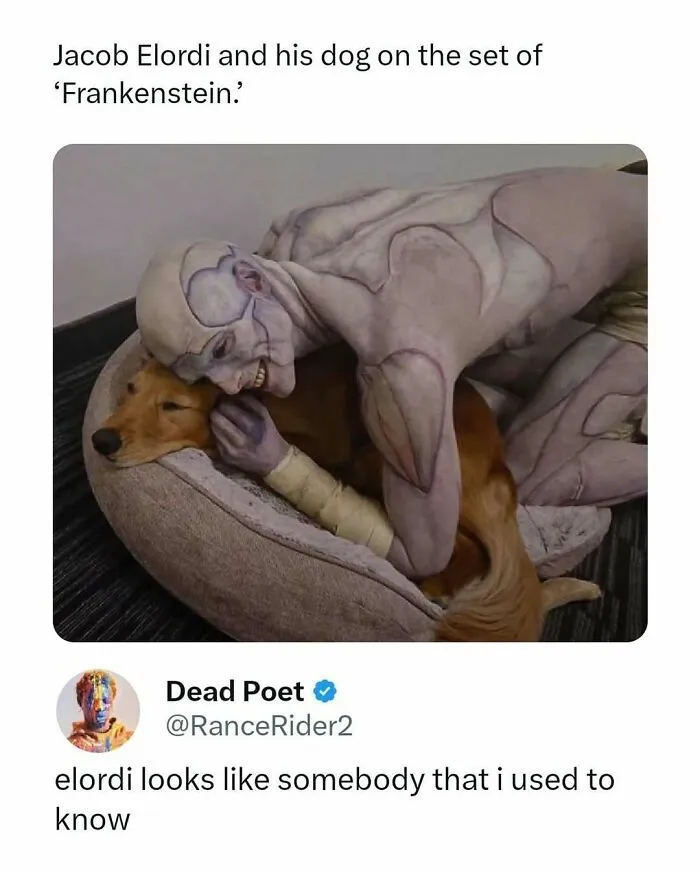 50 Funny And Interesting Movie Memes And Posts That Hit Harder Than Some Of Those Films