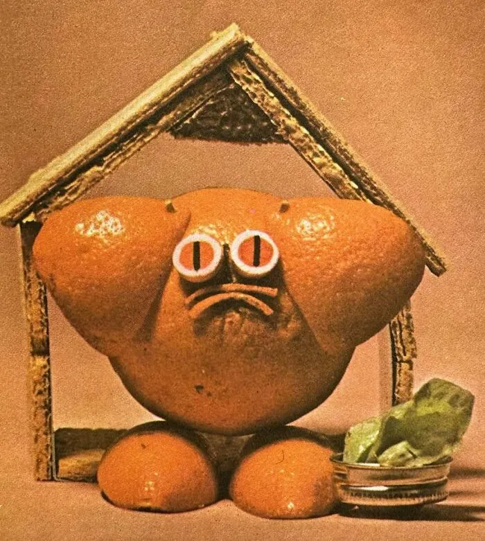𝘛𝘩𝘦 𝘖𝘳𝘢𝘯𝘨-𝘦-𝘵𝘢𝘯𝘨 𝘪𝘴 𝘰𝘯 𝘨𝘶𝘢𝘳𝘥 (From “Tasty Treasures”, 1972)