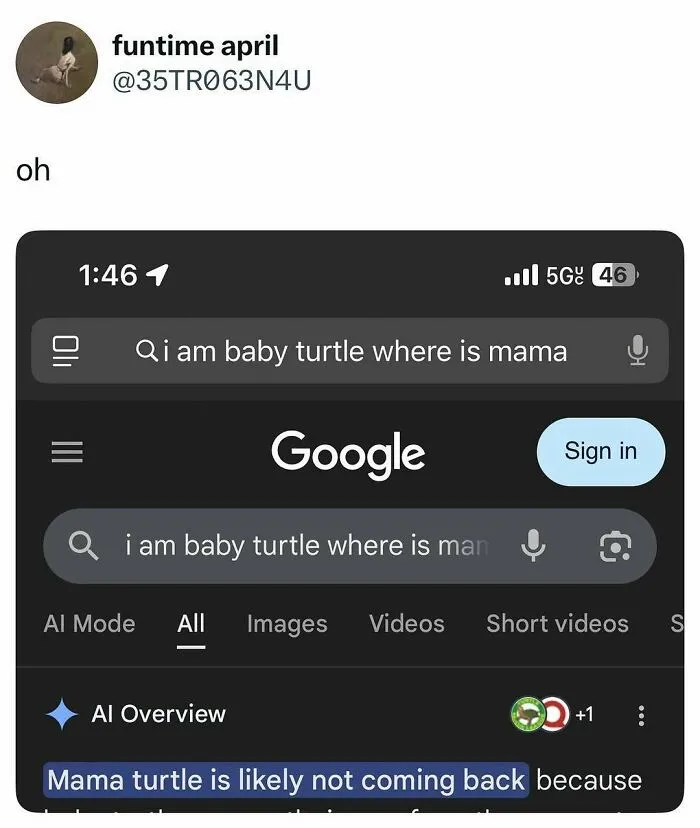 Screenshot of a funny Google search with an entertaining post about a baby turtle not finding mama to fight boredom and sadness.