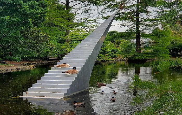 Modern outdoor sculpture resembling a stairway extending over a pond with ducks and geese resting nearby.
