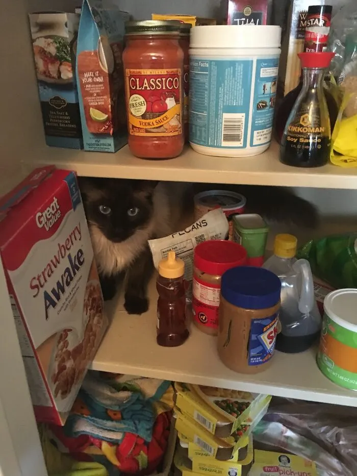 I'm Food