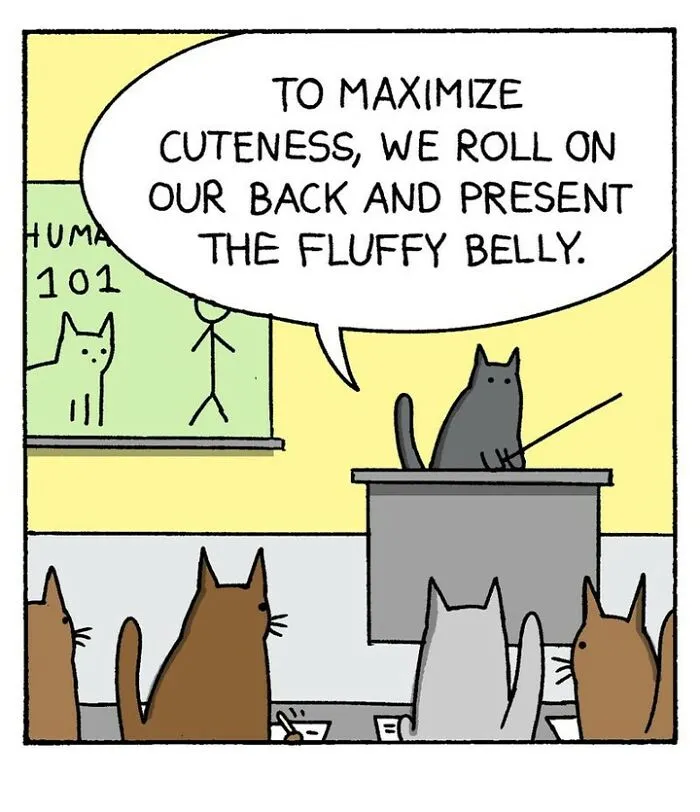 39 Brilliantly Bizarre Comics By ‘War And Peas’ That Might Catch You Off Guard (New Pics)