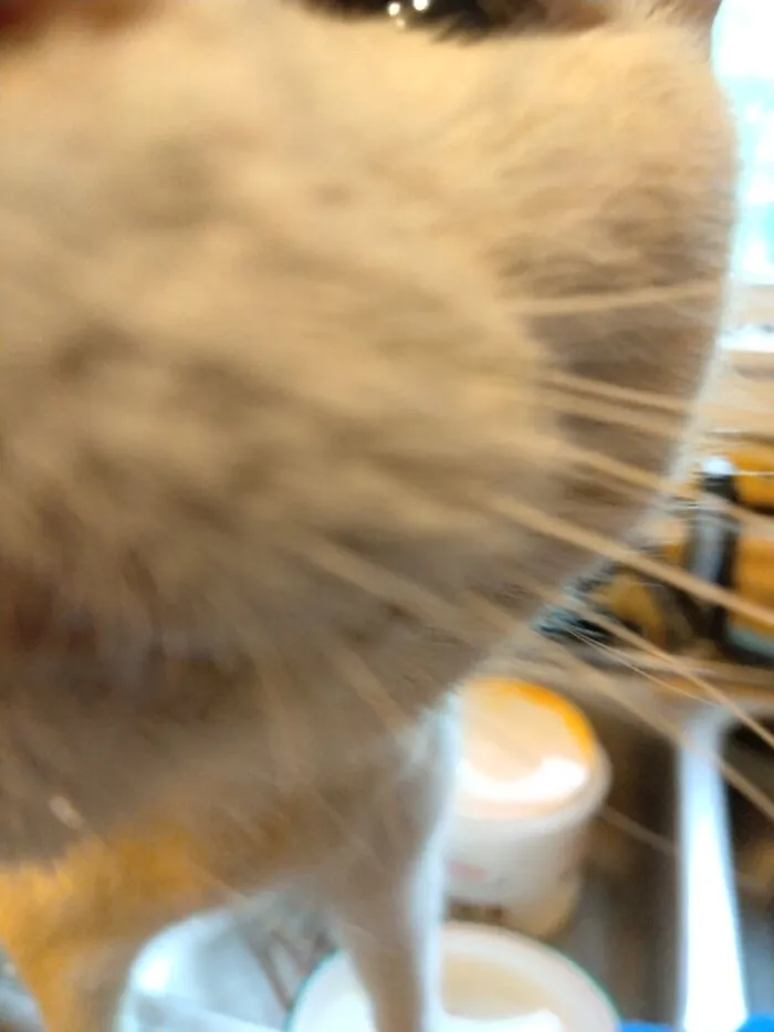 Baby Girl Up Close And In Your Personal Space!