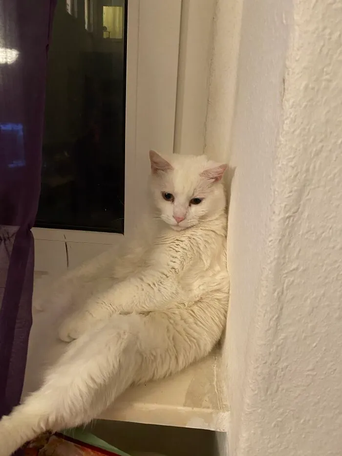 Ennui