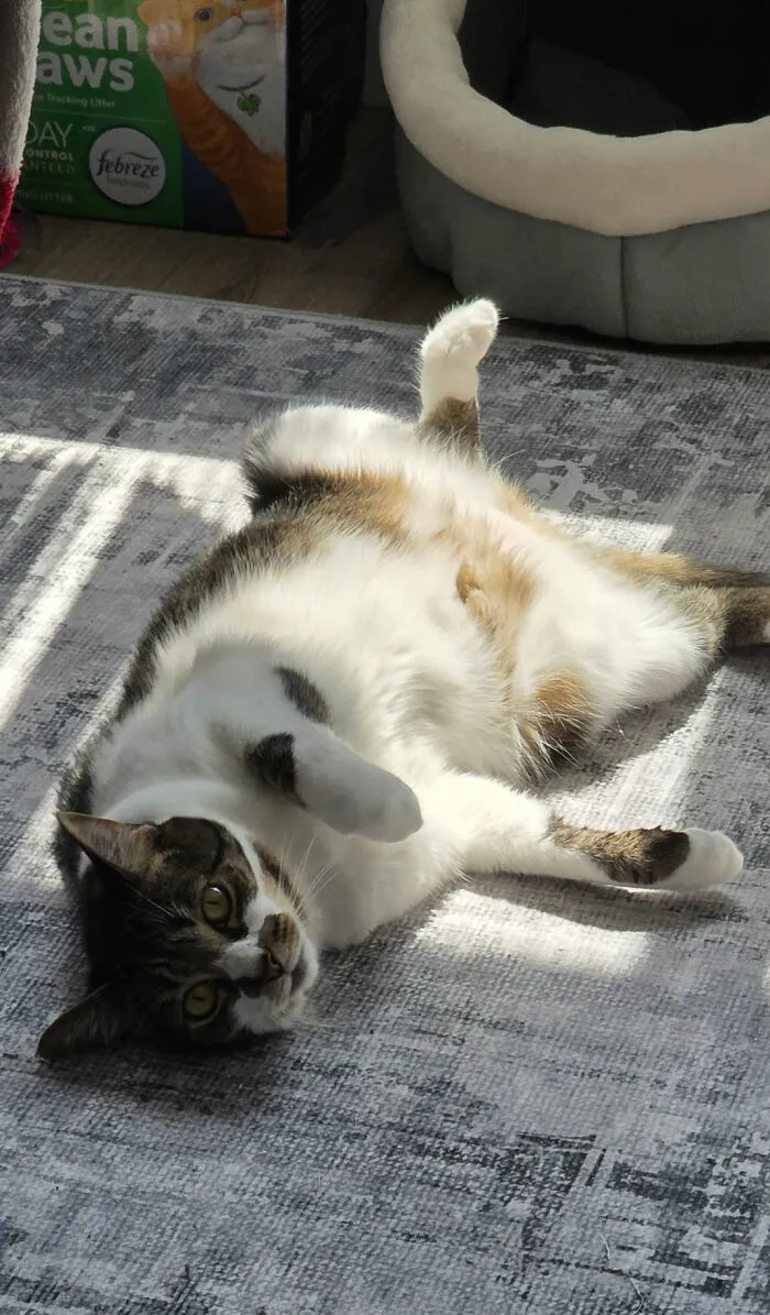 Mrs. Meeps Doing What She Loves Most