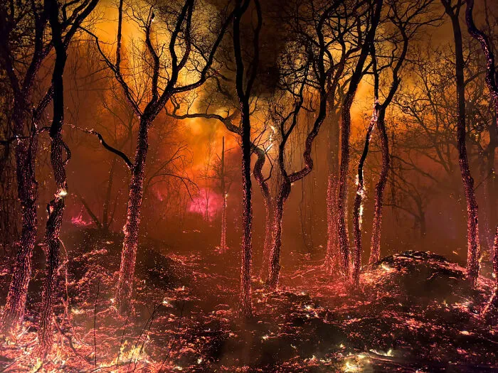 Categoría Paisaje | Mención honorífica: "Belleza infernal" de Jason Mirandi, Estados Unidos