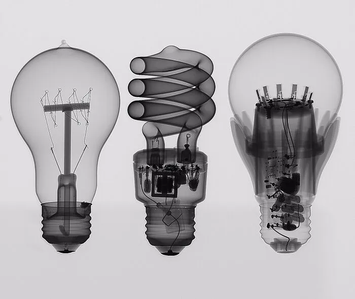 X-ray image showing the insides of three different types of light bulbs revealing their internal components.