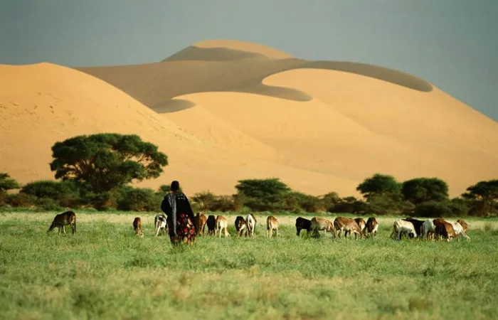 #11 Niger