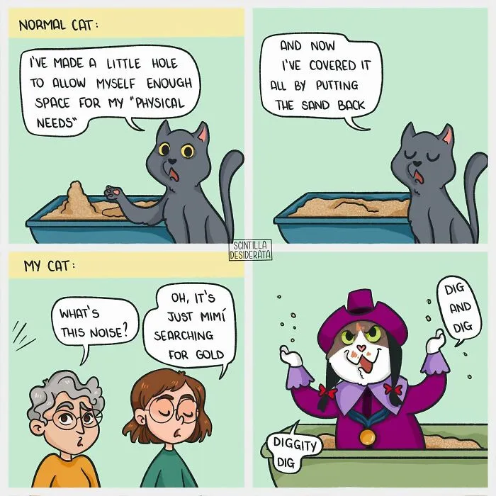 50 Witty Comics By Scintilla Desiderata That Perfectly Capture Everyday Life (New Pics)