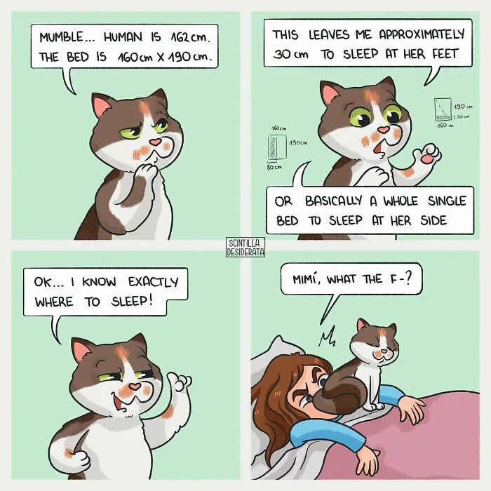 50 Witty Comics By Scintilla Desiderata That Perfectly Capture Everyday Life (New Pics)
