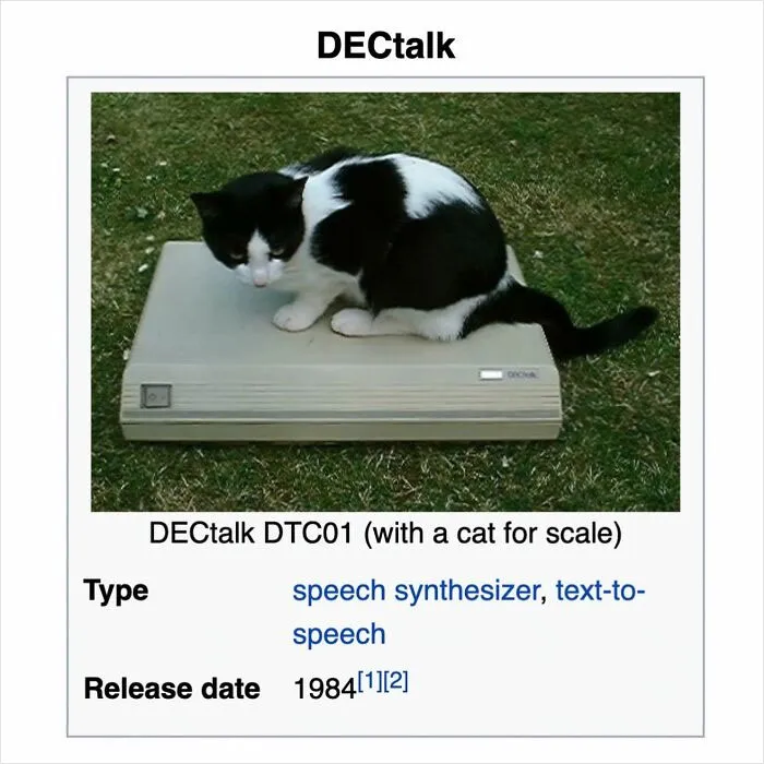 50 Times People Found Gems On Wikipedia That Were Too Funny Not To Share (New Pics)