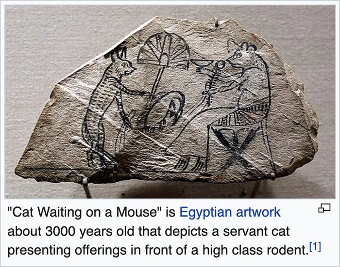 50 Times People Found Gems On Wikipedia That Were Too Funny Not To Share (New Pics)